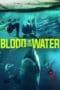 Blood in the Water (2022)